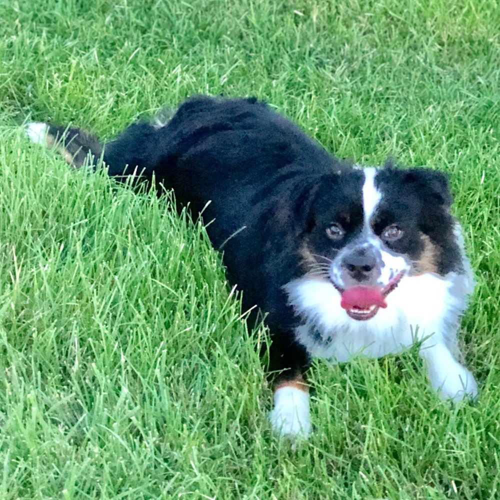 Meet your Posher, Mary